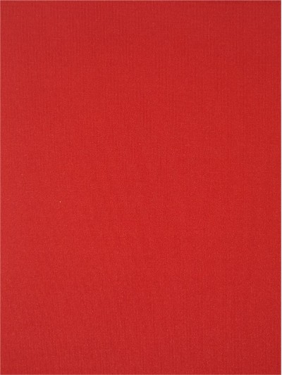 JS-YGXN CD-64 單面滌氨 正面照